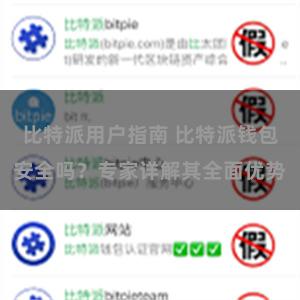 比特派用户指南 比特派钱包安全吗？专家详解其全面优势