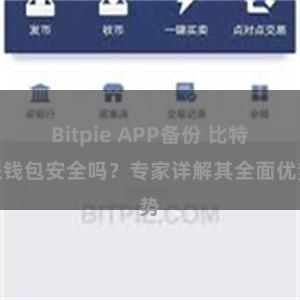 Bitpie APP备份 比特派钱包安全吗？专家详解其全面优势