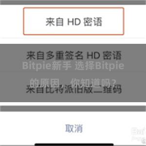 Bitpie新手 选择Bitpie的原因，你知道吗？