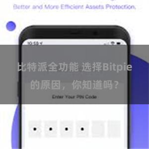 比特派全功能 选择Bitpie的原因，你知道吗？