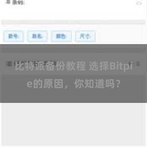 比特派备份教程 选择Bitpie的原因，你知道吗？