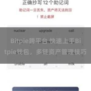 Bitpie跨平台 快速上手Bitpie钱包，多链资产管理技巧