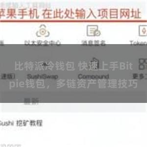 比特派冷钱包 快速上手Bitpie钱包，多链资产管理技巧