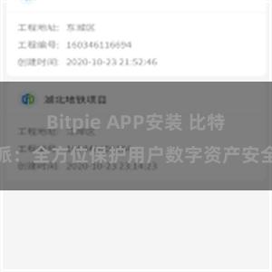 Bitpie APP安装 比特派：全方位保护用户数字资产安全