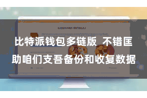比特派钱包多链版  不错匡助咱们支吾备份和收复数据