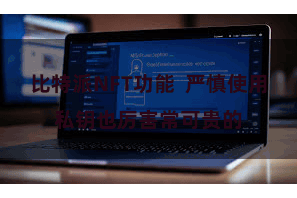 比特派NFT功能  严慎使用私钥也厉害常可贵的
