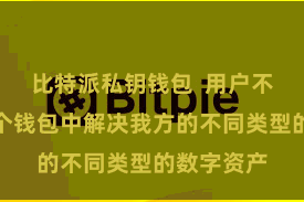 比特派私钥钱包  用户不错在团结个钱包中解决我方的不同类型的数字资产