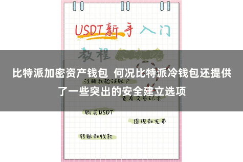 比特派加密资产钱包  何况比特派冷钱包还提供了一些突出的安全建立选项