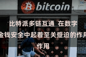 比特派多链互通  在数字金钱安全中起着至关蹙迫的作用