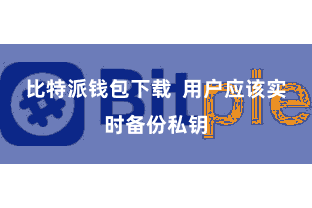 比特派钱包下载  用户应该实时备份私钥