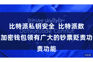 比特派私钥安全  比特派数字加密钱包领有广大的钞票贬责功能