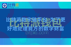 比特派数字链平台  为了更好地处理我方的数字财富